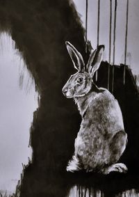 der hase dreht sich_&uuml;berrascht, mit wachem blick_beim ruf des kuckucks (45x60 cm)