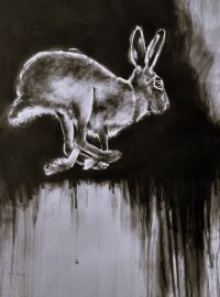 unerwartet huscht_der hase blitzschnell vorbei_war&#039;s nur ein schatten? (45x60 cm)